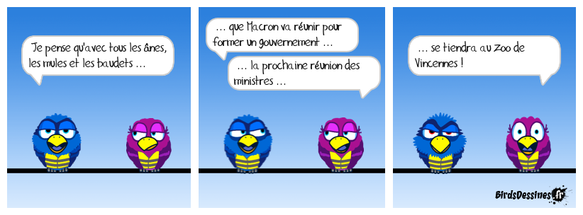 Défense de lancer des Cacahuètes aux p'tites bêtes !