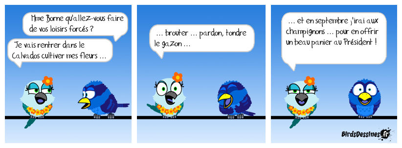 Depuis le temps qu'il me brise les œufs ... ça lui fera une belle omelette !