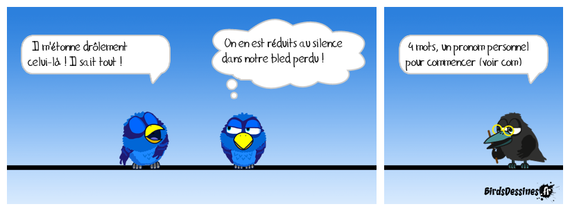 expression du jour n° 95