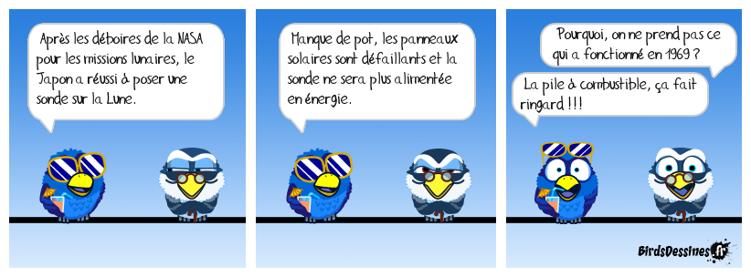 Ça fait causer dans Landerneau !