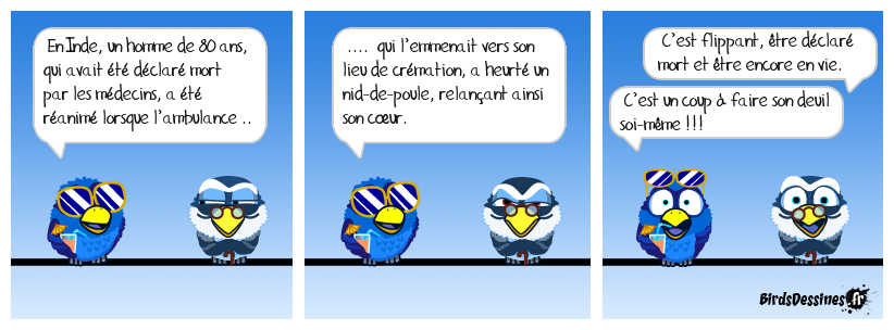 La vie est-elle due au hasard ?