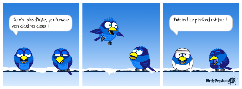 🤣 L'envolée 👋🤕