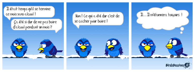 🤣 Fin du mois sans alcool 🤦‍♀️🍹