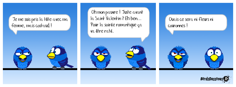 Saint Valentin ratée