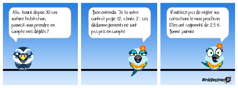 Ça y est. J’ai enfin compris mon assurance