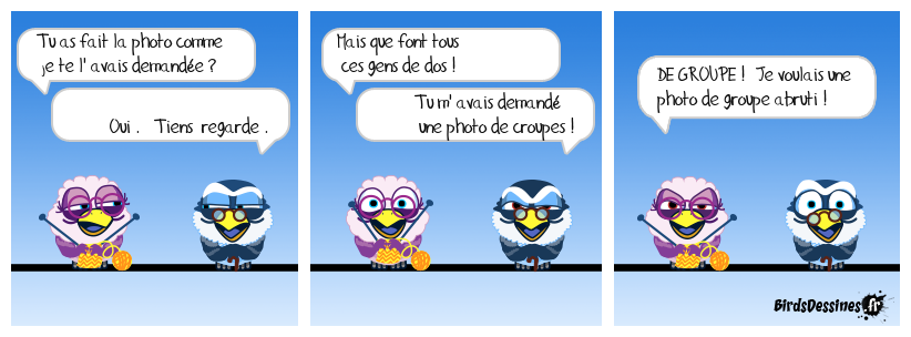 il n' y a qu' à retourner la photo !