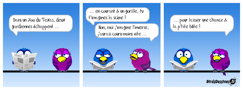 Whouaaah ! guenon ... Euh ... Whouaaah ! que non !