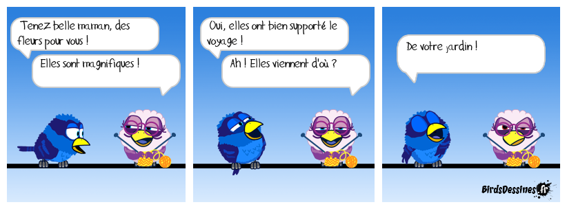 🤣 La provenance 💐😤