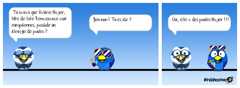 Une tête de liste mayennaise !