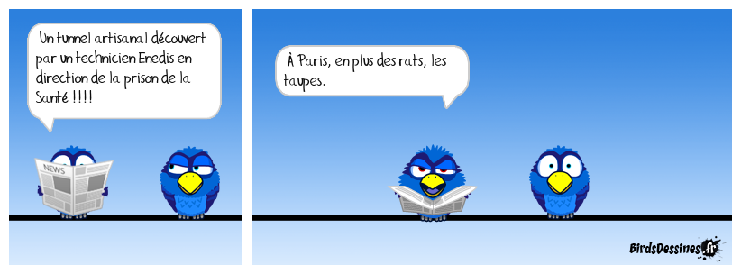 y a pas que des trous à Paris...