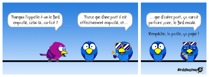 Le toujours là du Bird empaillé