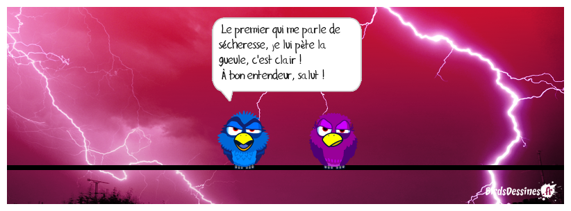 😡 Avertissement ⛈️☔
