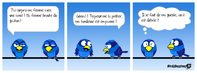 🤣 La broute gazon 🤦‍♂️👩‍❤️‍👩