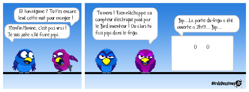 Le Bird inventeur (29)