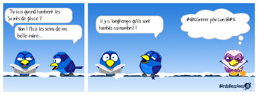 😂 Il y a Saints et seins 🧊👀