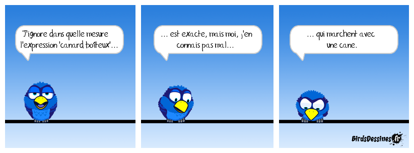 Ça vous en bouche un coin-coin, hein ? Expression