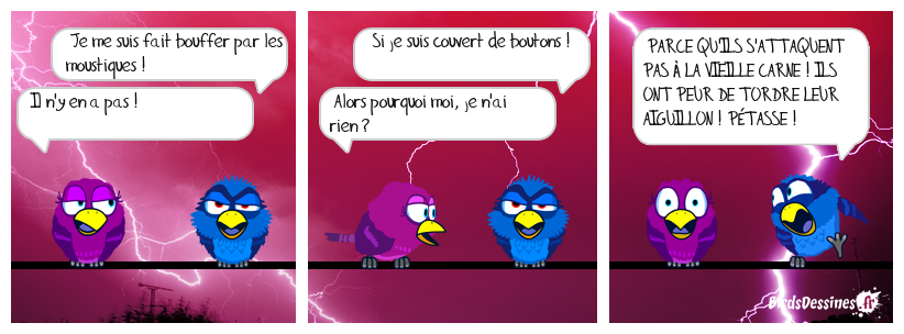 🤣 Attaque de moustiques 🤷‍♀️😡