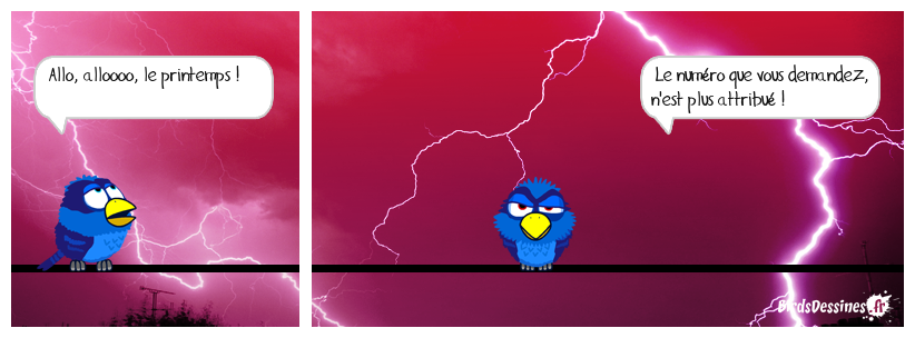 😢 Coup de fil au printemps 😭📞