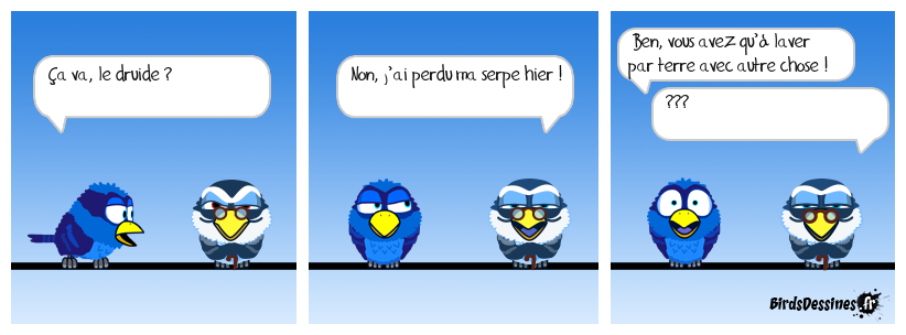 Ils sont fous ces gaulois !