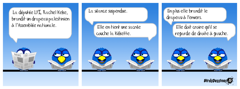 La France Islamiste dans toute sa splendeur.