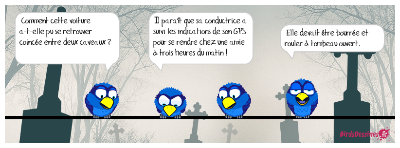 On devrait peut-être la nommer birdette d'honneur ? 🤣