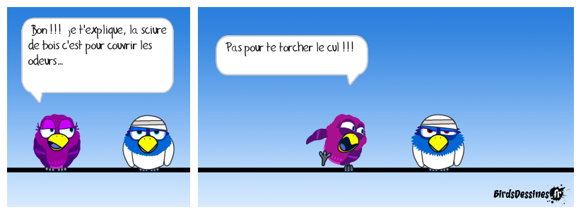 Toilettes sèches !!!!