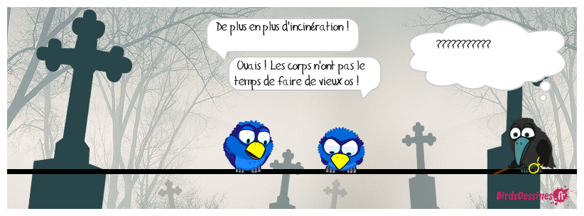 😂 Une façon de voir les choses... 02 ☠️🔥⚱️