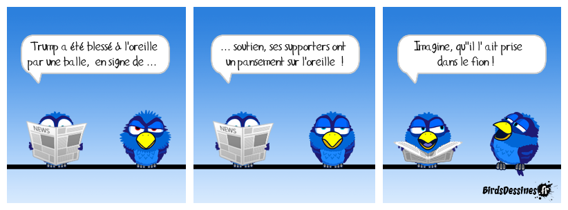 Au moins, le ridicule ne tue pas !