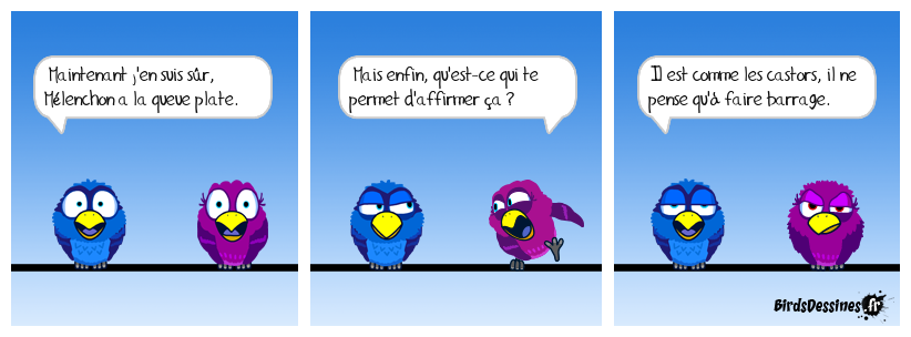 Évidence 🦫