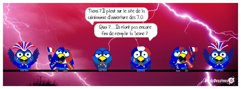 Ouverture des J.O. 2