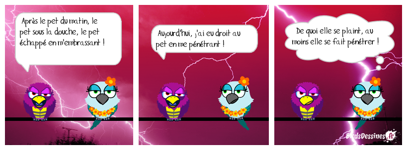 🤣 Pet un jour, pet toujours 😮‍💨💨