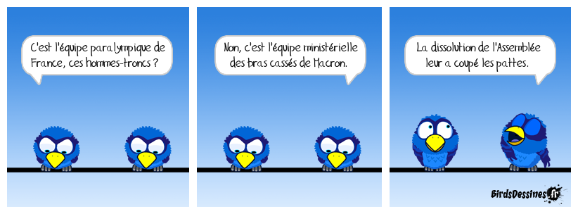 L'astuce pour distinguer les ministres de Macron des athlètes handi-sportifs : ces derniers ne se servent pas uniquement de leur langue. Ils agissent. Paralympiafs 3