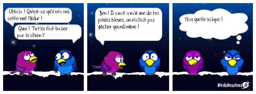 🤣 Pas de gâchis 🐶🤦‍♂️