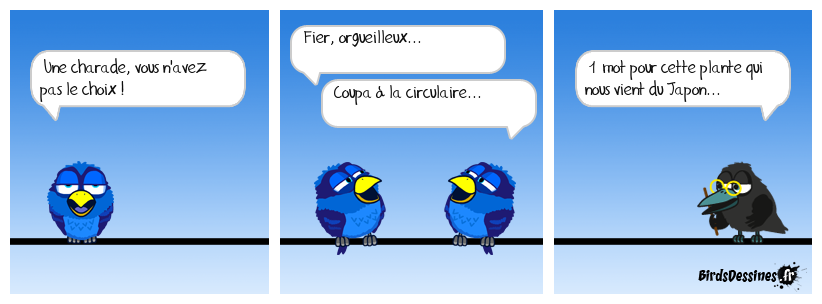 Plante à grandes feuilles multi-lobées qui devient un arbuste quand elle atteint une belle hauteur... amalgame 41