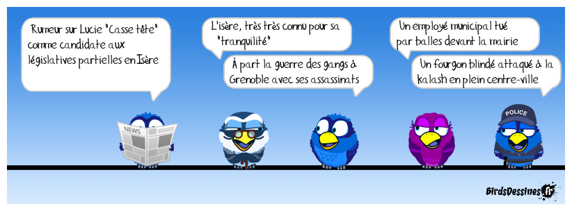 Grenoble : Chicago sur Isère ! Ne me parlez pas de Grenoble !