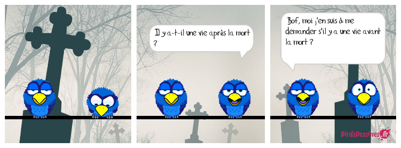 une vie de bof ...