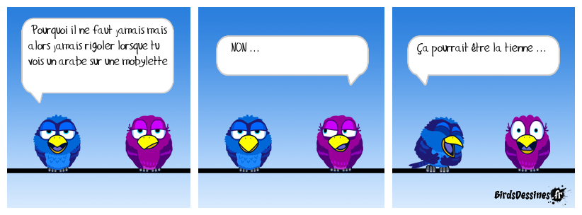 Un arabe à mobylette