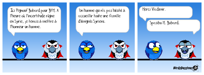 bfm : airbnb