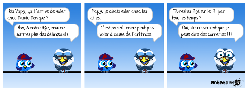 La vieillesse chez les Birds !