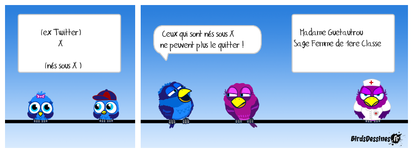 Faut-il quitter X (ex Twitter) ?