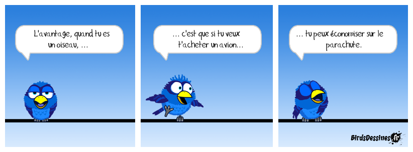 Logique birdienne