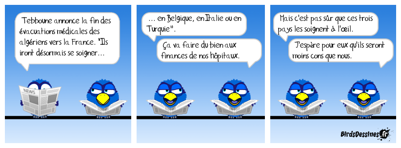 Quand on cherche des pigeons.......