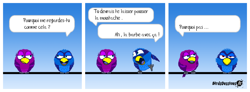 une histoire au poil