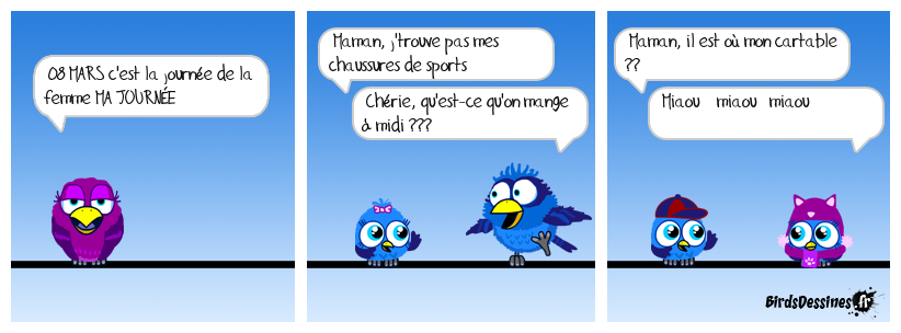 Bonne journée à toutes les femmes,