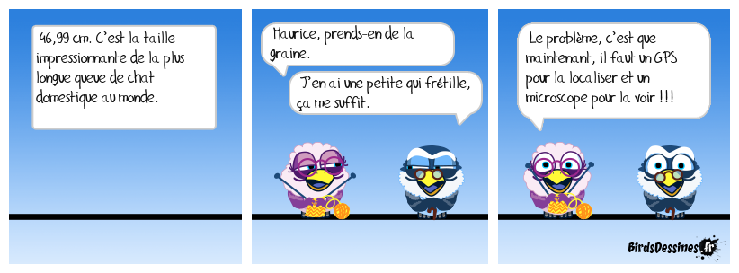 Un record qui va faire des jaloux !