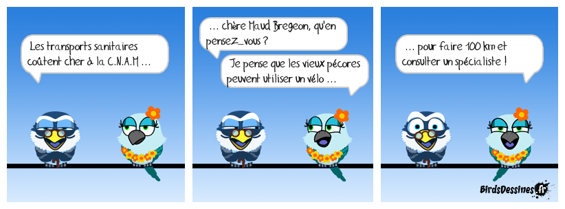 Pour les vieux couples .... un tandem ça guérit tous les maux !