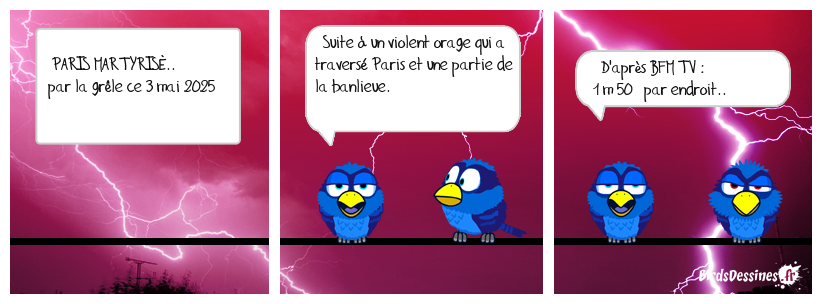 Paris frappé par d’impressionnantes chutes de grêle