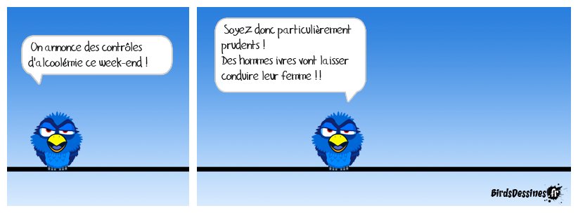 Femmes au volant ...