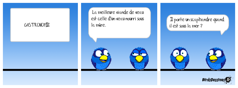 Ne pas confondre mère et mer !