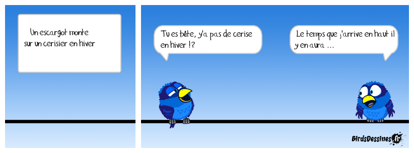 Pourquoi les escargots grimpent-ils aux arbres ?